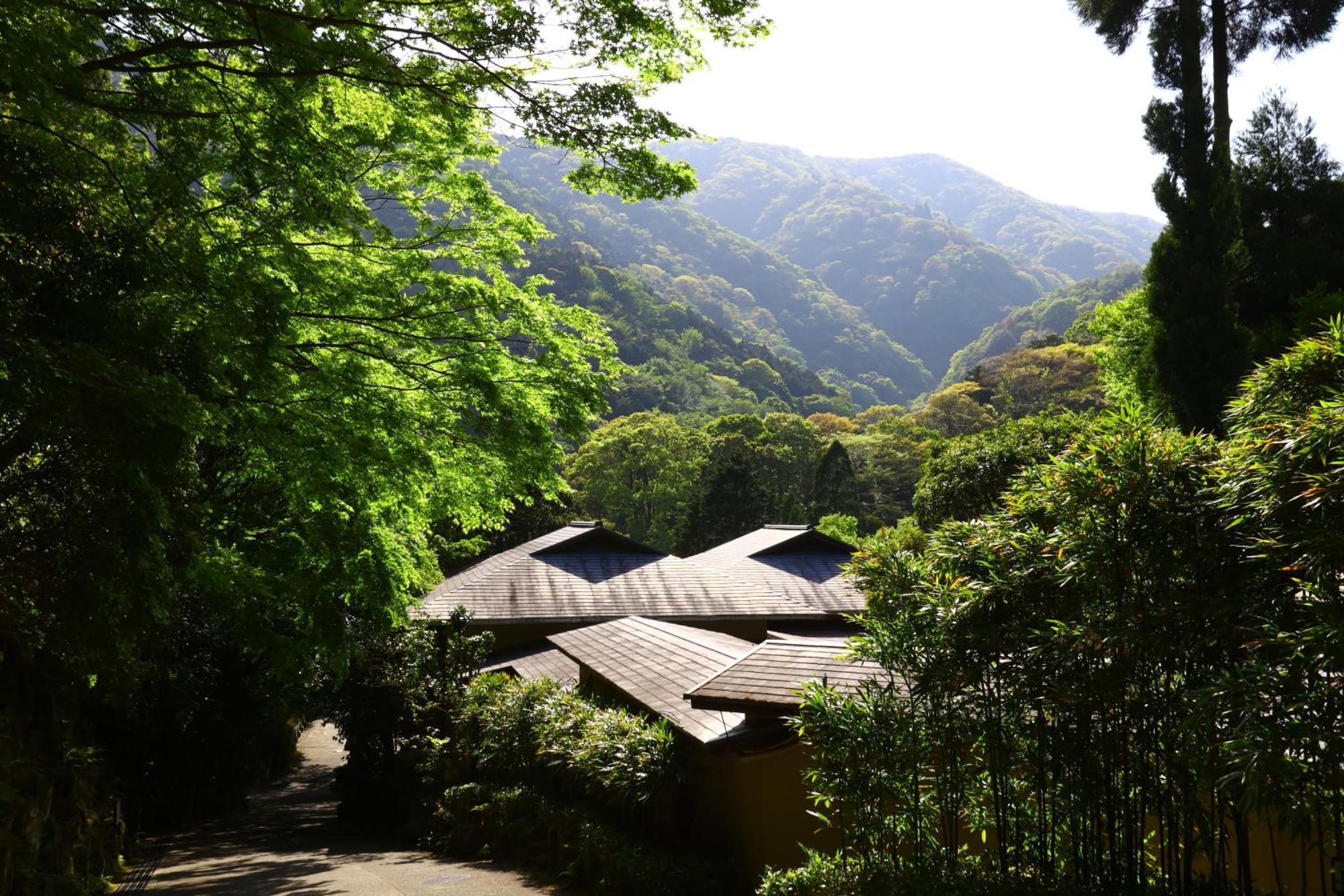 Hotel Oku Yugawara Tsubaki Exterior foto